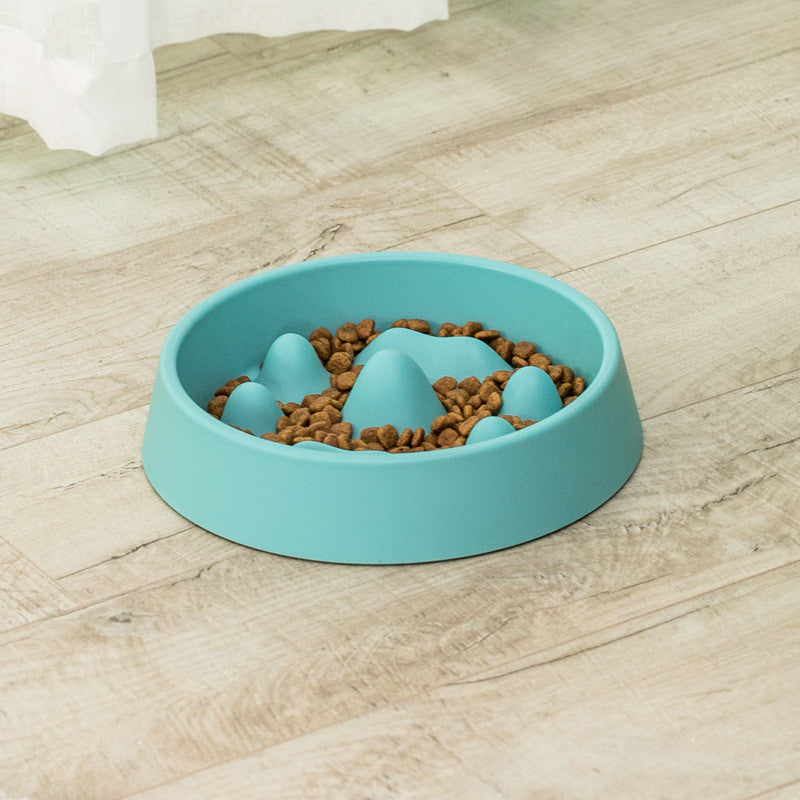 Anti-choking Slow Feeder Bowl - Interactive Pet Dish for Dogs & Cats