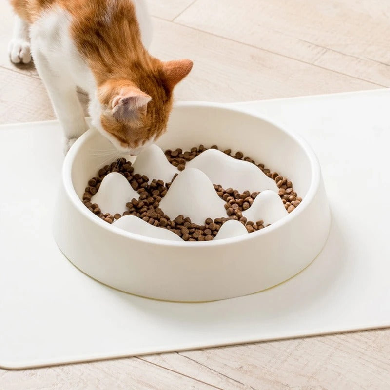 Anti-choking Slow Feeder Bowl - Interactive Pet Dish for Dogs & Cats